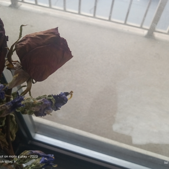 Meet your Posher, Tisch - Picture 5 of 13